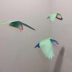 ￥1650→￥1500 コザクラインコ 鳥 モビール