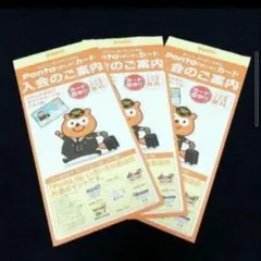★Pontaカード3枚セット★JAL限定デザイン