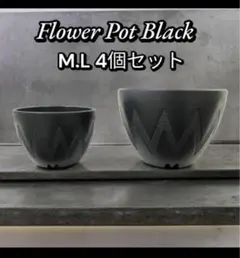 春めく季節はそこ！植木鉢 4個セット M.Lサイズ 各2個 大アガベ グラキリス