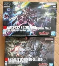 HG 1/144 ギラ・ズール ローゼン・ズール 2個セット - メルカリ