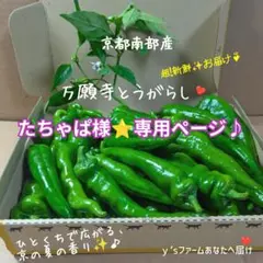 たちゃぱ様⭐️専用ページ♪♪のサムネイル