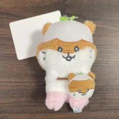 ナガノ　サンリオ　コロコロクリリン　おともだちコーデ