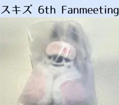 StrayKids スキズ バンチャン　10cm ぬいぐるみ ペンミ　B641