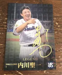 【最終値下げ】東京ヤクルトスワローズ 内川聖一 プロ野球チップスカード