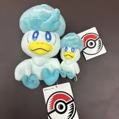 ポケモンセンター クワッス ぬいぐるみ　2点