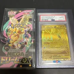 rare‼︎][PSA10連番！]メガカイリューex SAR MUR - メルカリ