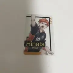 ハイキュー 日向翔陽 ホログラムカード 2枚セット - メルカリ