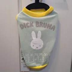 Item thumbnail for item 29ea0645-603f-4078-80a1-2ab004ee6efe