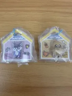 MINITEEN WONWOO MINGYU (ミーニー)