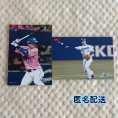 2026年最新】山本泰寛の人気アイテム - メルカリ