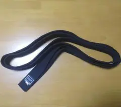 Item thumbnail for item c871a2b5-d4a9-474b-af30-ede5499460f6