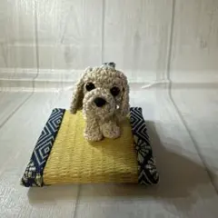 2025年最新】羊毛フェルトアメリカンコッカースパニエルの人気アイテム