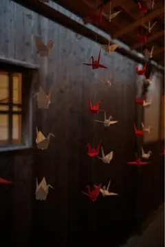 Item thumbnail for item 2c0b0e02-e5fd-482d-a0be-e5b53f9a5b78