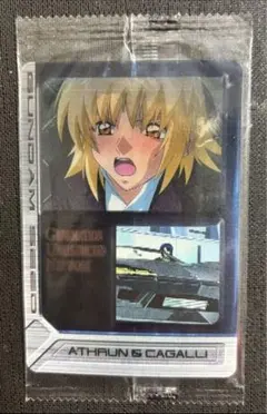 2026年最新】ガンダムseed destiny カードの人気アイテム - メルカリ