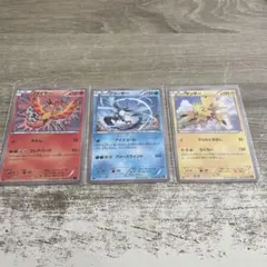 XY 三鳥　まとめ売り