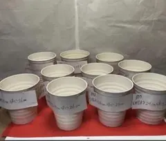 796805 胡蝶蘭が入っていた　植木鉢　プラスチック製　軽い　10個