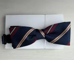 Item thumbnail for item 4fea819e-4262-4272-a2af-7ced3c5655f8