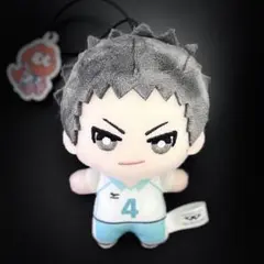 ハイキュー‼︎ 岩泉一　ぬいぐるみ