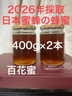 日本蜜蜂の蜂蜜 百花蜜 400g×2本のサムネイル