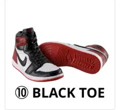 NIKE Air Jordan 1 High 85 ミニチュアコレクション　⑩
