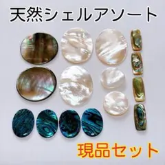 《おすすめ》天然シェルアソートセット　白蝶貝　黒蝶貝　パウアシェル