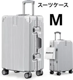 Item thumbnail for item 458772ef-eb22-4ee0-9c34-3eaacd40b032