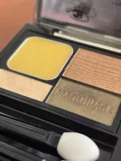 資生堂 ドラマティックスタイリングアイズ ピスタチオショコラ 限定品