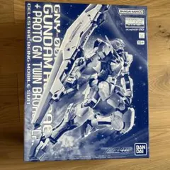 1/100 MG ガンダムアストレア＋プロトＧＮツインブロードブレイド 「機動…