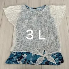 夏服　Ｔシャツ　３Ｌ　シースルー　ノースリーブ