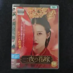独孤皇后～乱世に咲く花～ DVD 全25巻 日本語字幕 中国ドラマ 中古