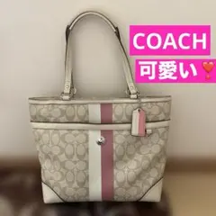 COACH トートバッグ ハンド シグネチャー PVC 水色 F14477 - メルカリ