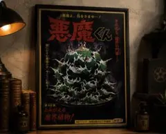 悪魔くん アガベ 観葉植物のサムネイル