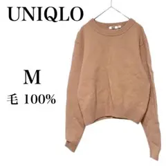 Item thumbnail for item e7bde5d8-fe45-47ee-92d0-8ff5a689adda