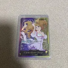 プリン リーダー