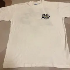 UCLA カレッジロゴ 刺繍 Tシャツ ホワイト