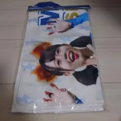 ファイターズガール 応援グッズ