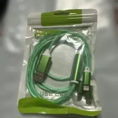 USB to Lightning 充電ケーブル グリーン