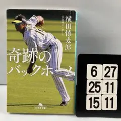 奇跡のバックホーム 文学・小説