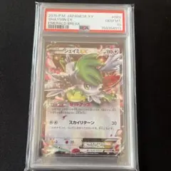 2026年最新】シェイミex psa10の人気アイテム - メルカリ
