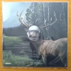 The Orb – Moonbuilding 2703 AD Remixes