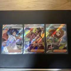 サワロsr、ナナミの手助けsr、からておうの稽古sr