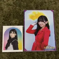 乃木坂46 真夏の全国ツアー2025 池田瑛紗 乃木坂スター誕生日　ポストカード