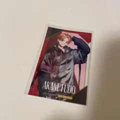 B-PROJECT カード　不動明謙