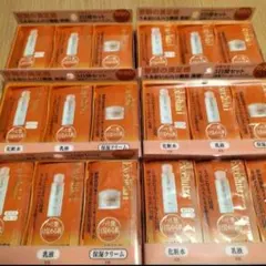 新品未開封 エクセルーラ トライアルセットEX 6セット