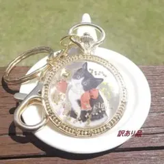 Item thumbnail for item c01446b9-9fea-4c1a-a8a1-c3fa1e27819b