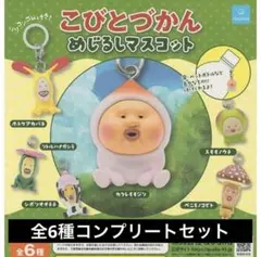 ✨こびとづかんめじるしアクセサリー コンプリート✨