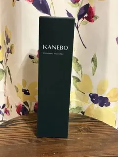 【よーこ様専用】カネボウ　スクラピング　マッド　ウォッシュ