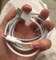 USB-C to Lightningケーブル 約1メートル ホワイト