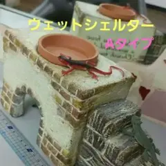 爬虫類用 おしゃれウェットシェルター Bタイプ 屋根付き隠れ家