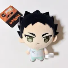 ハイキュー!! ぬいぐるみ vol.1